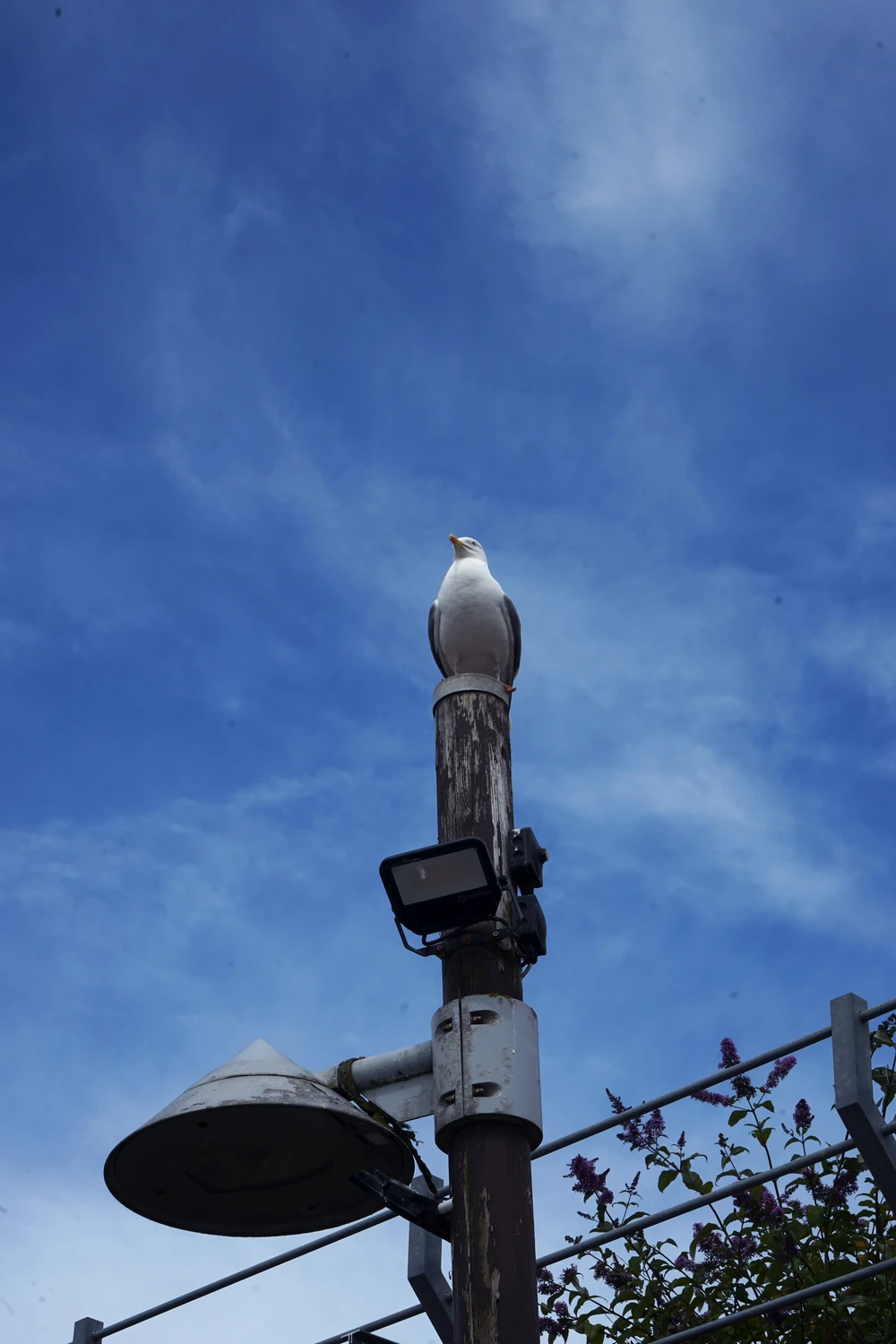 <ul class='gallery-caption'><li><em>Untitled</em>, 2024</li><li>Folkestone, England</li><li>Sony Alpha 7 II</li></ul>