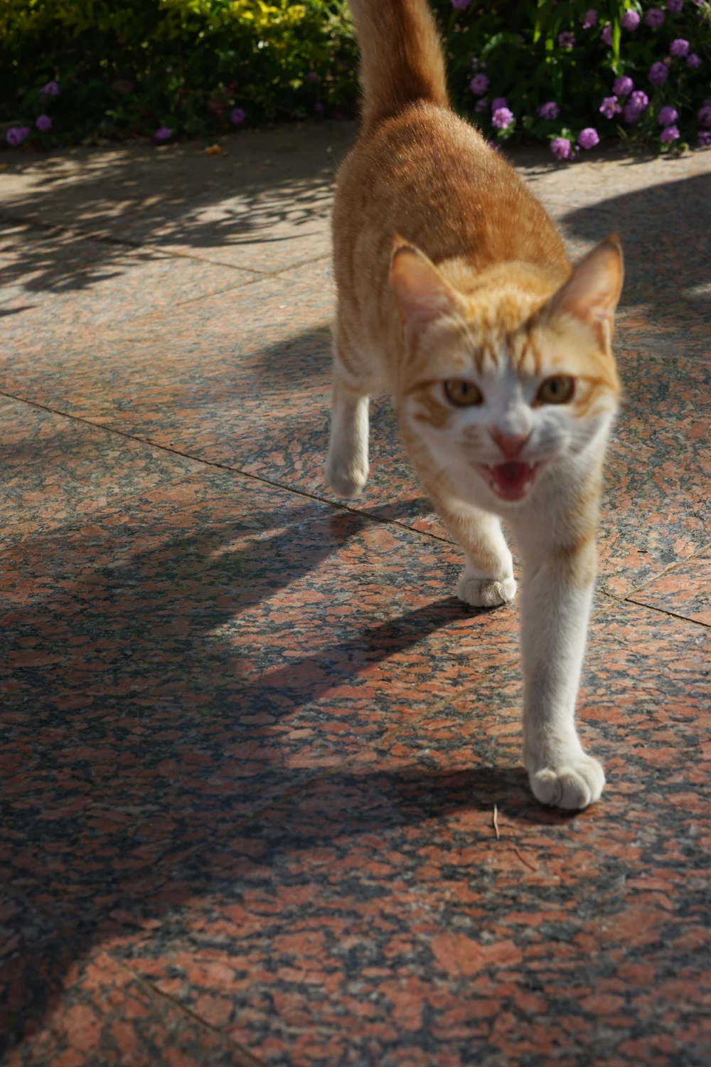 <ul class='gallery-caption'><li><em>Untitled</em>, 2024</li><li>Aswan, Egypt</li><li>Sony Alpha 7 II</li></ul>