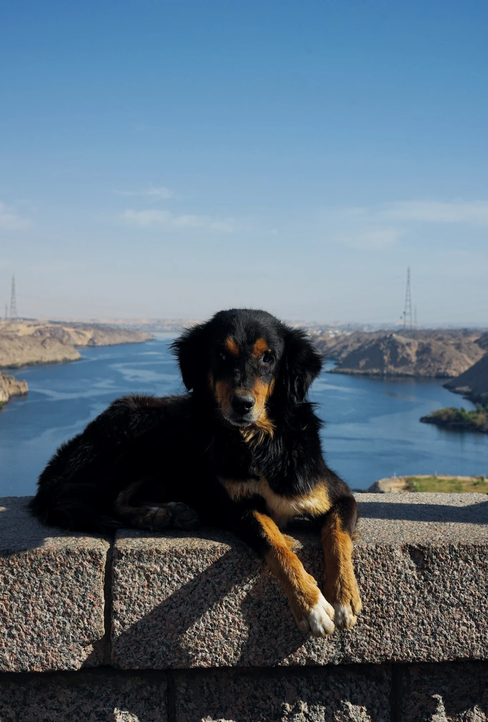 <ul class='gallery-caption'><li><em>Guardian</em>, 2024</li><li>Aswan, Egypt</li><li>Sony Alpha 7 II</li></ul>