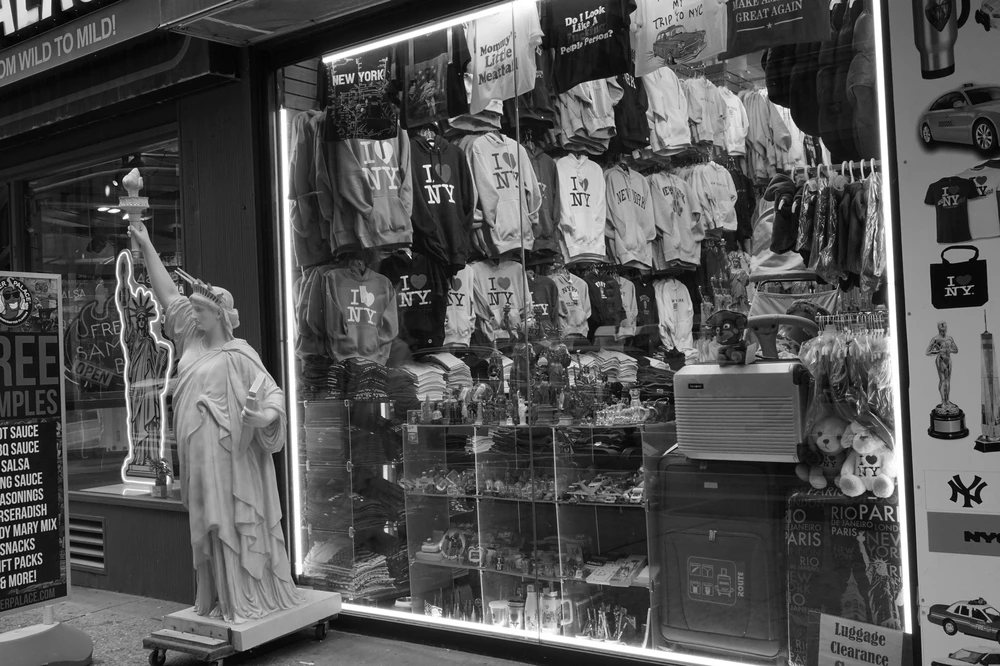 <ul class='gallery-caption'><li><em>Landscape 1</em>, 2025</li><li>New York, NY</li><li>Sony Alpha 7 II</li></ul>