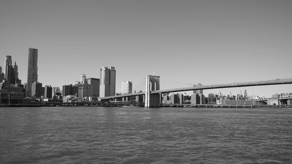 <ul class='gallery-caption'><li><em>Landmark 2</em>, 2025</li><li>New York, NY</li><li>Sony Alpha 7 II</li></ul>